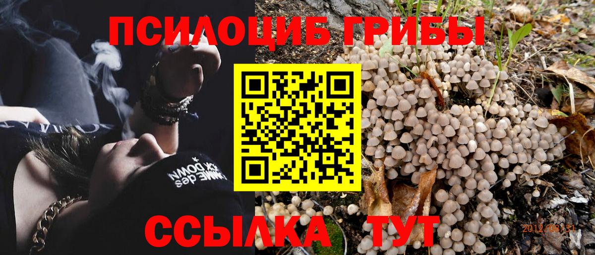 Галлюциногенные грибы Magic Shrooms  Вход с VPN  Кандалакша 