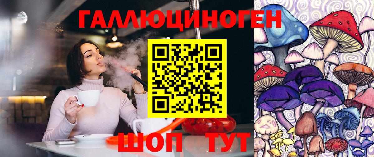 Псилоцибиновые грибы прущие грибы Кандалакша